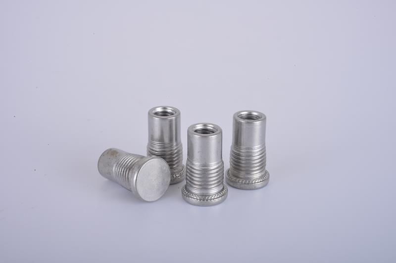 stud-2