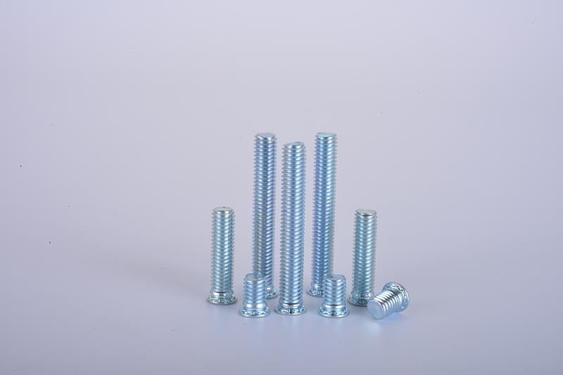 stud-3